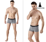 Antarctic Men's Underwear Zhongshan Underwear - MODAVESTRE