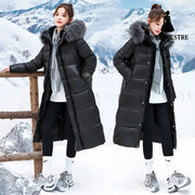 Cold Protective Clothing Korean Style Plus Size Women