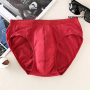 Men's briefs - MODAVESTRE