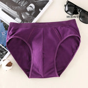Men's briefs - MODAVESTRE